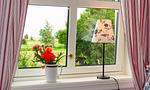 Gemütliches Wohnzimmer mit Fenster und Blumen - Bootshus - Top-Hundeurlaub