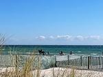 Strand - Beach&CityBude inkl. Saisonstrandkorb - Top-Hundeurlaub