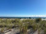 Strand - Beach&CityBude inkl. Saisonstrandkorb - Top-Hundeurlaub