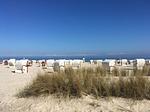 Strand - Beach&CityBude inkl. Saisonstrandkorb - Top-Hundeurlaub