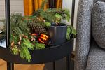 Ferienwohnung Das Schellenwies***** in Murnau - Top-Hundeurlaub