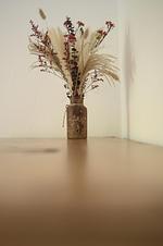 Ferienwohnung Jägerlodge in Grainau - Top-Hundeurlaub