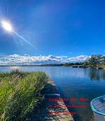 Ferienhaus (51) Hossmo an der schwedischen Ostsee bei Kalmar - Top-Hundeurlaub