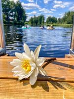 Ferienhaus (51) Hossmo an der schwedischen Ostsee bei Kalmar - Top-Hundeurlaub