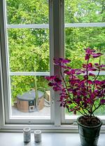 (46) Traumhaus in der Natur Smålands, Nahe dem See Västra Lägern - Top-Hundeurlaub