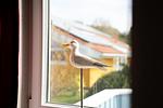 Neu Seeland 71 - Top-Hundeurlaub