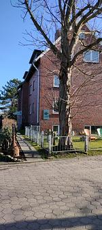 Baalmann Nr.1 - Top-Hundeurlaub