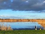 Gartenblick - Ferienhaushälfte Fenja - Top-Hundeurlaub