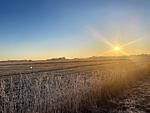 Landschaft - Ferienhaushälfte Fenja - Top-Hundeurlaub
