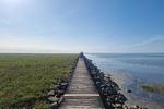 Landschaft - Nordseeglück - Sauna, ruhig und modern - Top-Hundeurlaub