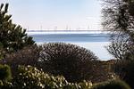 Friesennest - Top-Hundeurlaub