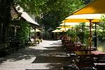 Romantisches Waldhotel Silbermühle - Top-Hundeurlaub