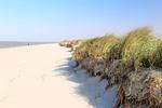 Strand - 50.7 Mehrblick - Top-Hundeurlaub