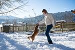Hotel & Romantikchalet Almfrieden - Top-Hundeurlaub
