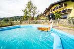 Hotel & Romantikchalet Almfrieden - Top-Hundeurlaub