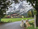 Hotel & Romantikchalet Almfrieden - Top-Hundeurlaub