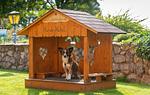 Hotel & Romantikchalet Almfrieden - Top-Hundeurlaub