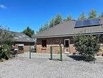 Hauptansicht - Ferienhaus Lena Rodenäs - Top-Hundeurlaub