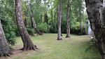Garten - Hus Sünnschien FeWo 1 - Top-Hundeurlaub
