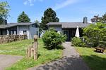 Nachbarschaft - Ferienhaus LUV - Top-Hundeurlaub