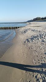 Strand - Bernsteinquartier, Dünengras, Whg. 04.39 - Top-Hundeurlaub