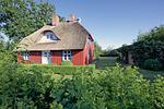 Hauptansicht - FH- Alte Segeltuchweberei - Top-Hundeurlaub