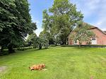 Garten - Ferienwohnung Thorge OG Hof Döttgebüll - Top-Hundeurlaub