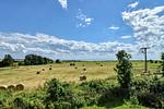 Nachbarschaft - Ferienhaus Küstenhuus 20 Feriendorf Klein Stresow Rügen - Top-Hundeurlaub
