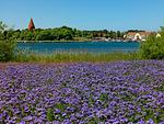 Landschaft - FH Hohmann - Top-Hundeurlaub