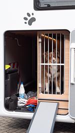 Wohnmobile 4Pfoten im Raum Dortmund und Umland - Top-Hundeurlaub