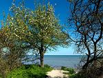 Landschaft - FH Hohmann - Top-Hundeurlaub