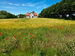 Landschaft - FH Hohmann - Top-Hundeurlaub