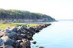 Strand - Strandkorb - Top-Hundeurlaub