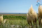 Landschaft - 232 - Wohnung 2 - Top-Hundeurlaub