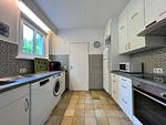 Landhaus am See - Top-Hundeurlaub