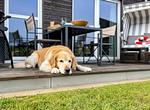Terrasse - New Port Lounge - Top-Hundeurlaub
