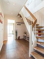 Dekoratives Detail - Schatzinsel - Top-Hundeurlaub