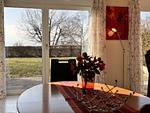Ferienwohnung an der Meersburg Therme - Top-Hundeurlaub