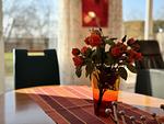 Ferienwohnung an der Meersburg Therme - Top-Hundeurlaub