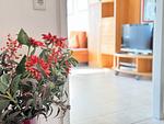 Ferienwohnung an der Meersburg Therme - Top-Hundeurlaub