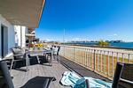 Terrasse - Ocean Terrace - Top-Hundeurlaub
