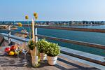 Balkon - Ocean Queen - Top-Hundeurlaub