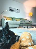 Bolliwerk10 AUF der Ostsee - Olpenitz / Hunde kostenlos - Top-Hundeurlaub