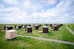 Vogelperspektive - - Tiny House 4 Nature Dog Friendly Innenlage - Top-Hundeurlaub