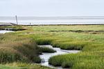 Strand - - Tiny House 4 Nature Dog Friendly Innenlage - Top-Hundeurlaub