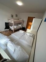 Apartment BERNSTEIN - Apartment BERNSTEIN im EG mit Garten, Infrarot-Sauna - Top-Hundeurlaub