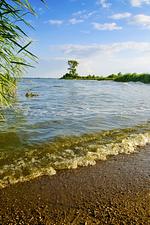 Strand - Ferienwohnung in Lütow auf Usedom – Mohnblume am Achterwasser - Top-Hundeurlaub