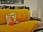 Dekoratives Detail - Hogulu - 2-RAUM-Appartement 2 - Top-Hundeurlaub