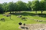 Allwetterzoo Münster - Top-Hundeurlaub