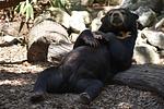 Allwetterzoo Münster - Top-Hundeurlaub